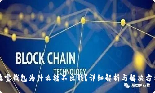 波宝钱包为什么转不出钱？详细解析与解决方法