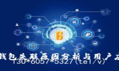 瑞波币钱包失联原因分析与用户应对策略